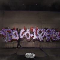 Eilverfahren - Single - Polarise