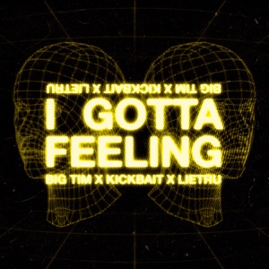 I Gotta Feeling