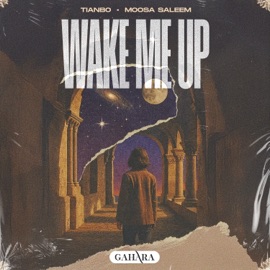 Wake Me Up TIANBO & Moosa Saleem