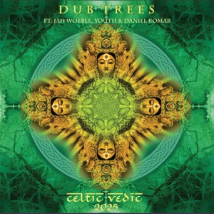 Celtic Vedic (2025 Remastered Edition)