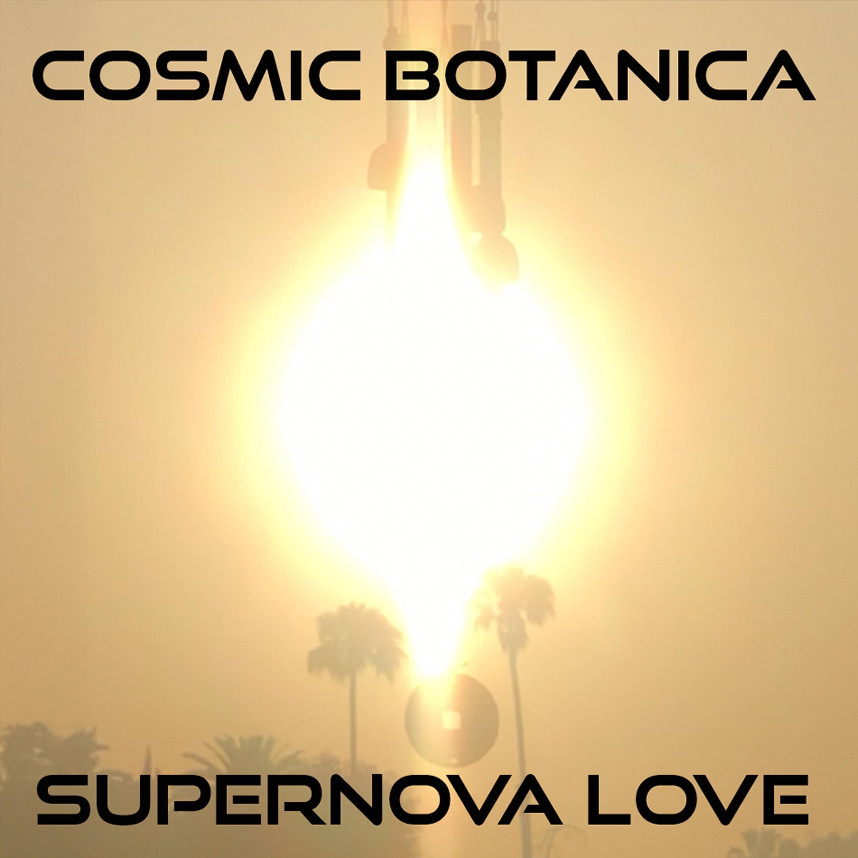 Supernova Love - Single