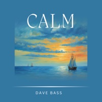 Calm - Single - Dave Bass