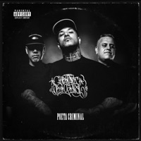 Poeta Criminal - Mano Fler & patetacodigo43