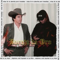 Baraja de Oro - Single - Rozhes