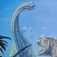 RUINS (feat. Simon) - EP - Forrrest