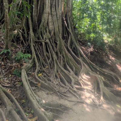 Undeserving - Single