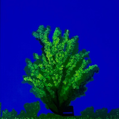 Company - Single