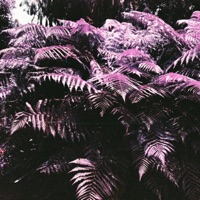 Clappers - Single - DJ Grumble & Dr. Malcolm Lex