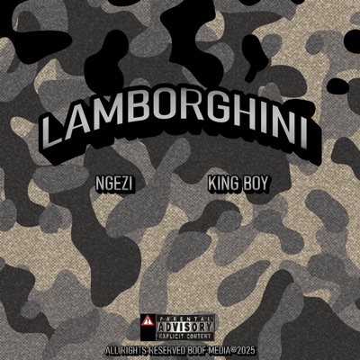 Lamborghini (feat. King Boy) - Single