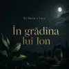 In Gradina Lui Ion