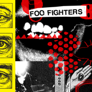 Caught In The Echo - Foo Fighters