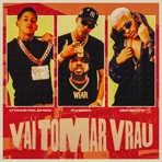 Vai Tomar Vrau - Single