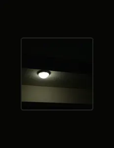 Ouça danbeetrifolium, assista a videoclipes, leia a biografia, veja as datas das turnês e mais!