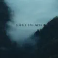 Subtle Stillness