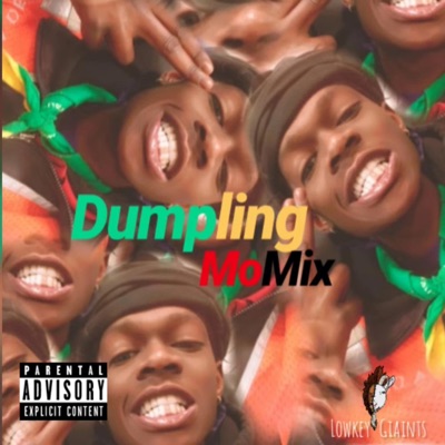 Dumpling MoMix - Single