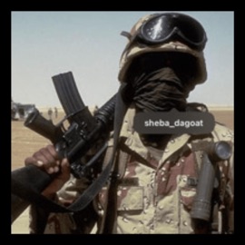 yung n elegant (sharkbreach) AVIATOR