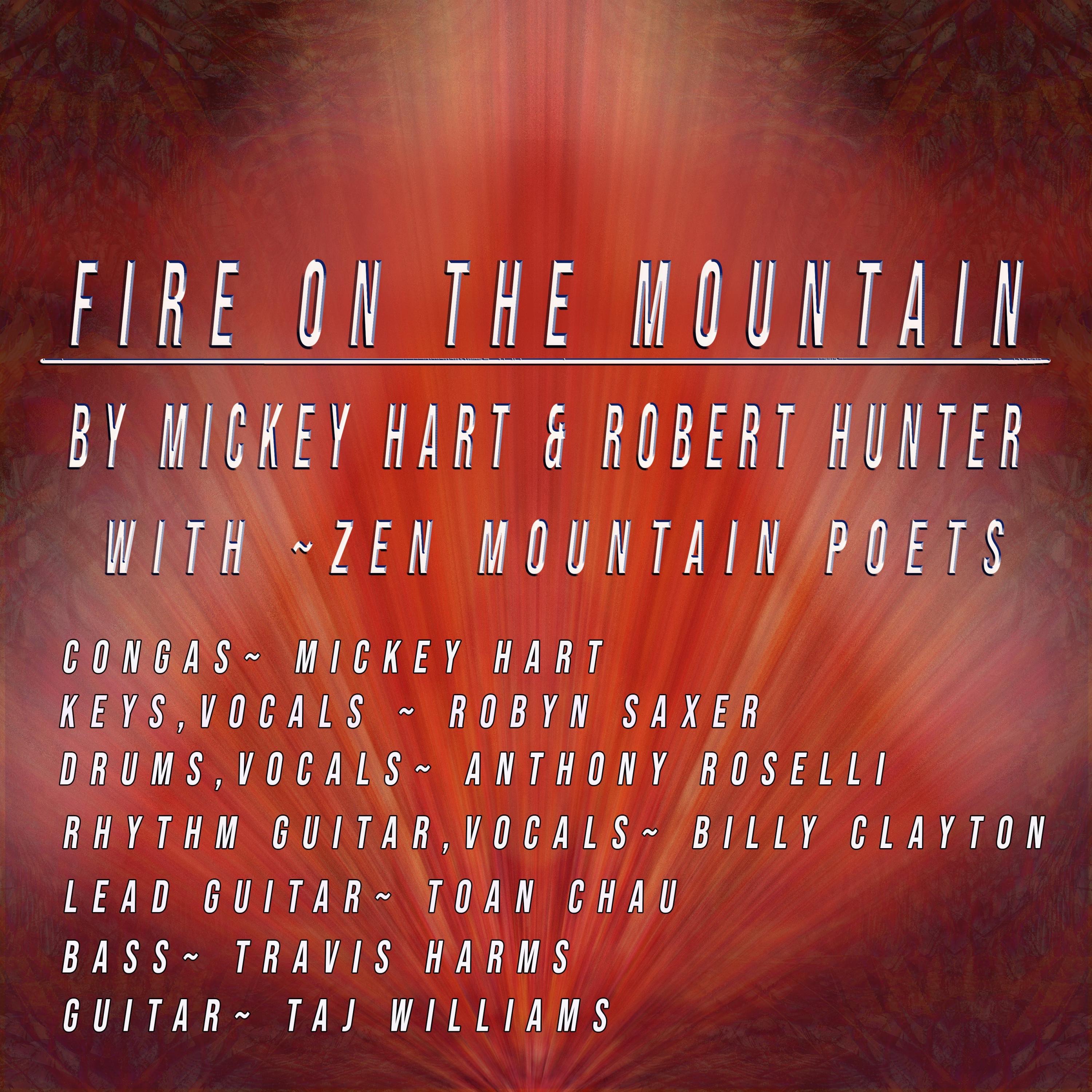 Fire On The Mountain - Single
