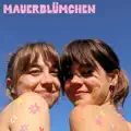 mauerblÜmchen
