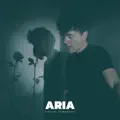 Aria