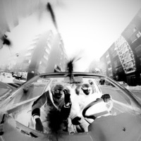 777 - Single - Diboujone, Cholo & Nwaretsang