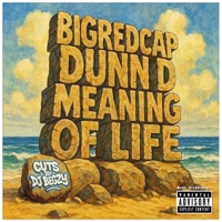 Meaning Of Life - Single - Bigredcap