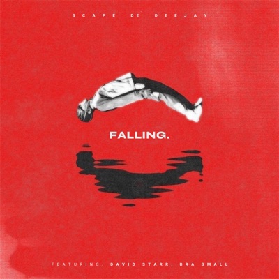 Falling/0609 (feat. BRA SMALL) [David Starr Remix] - Single