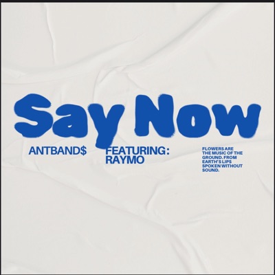 Say Now (feat. RayMo) - Single