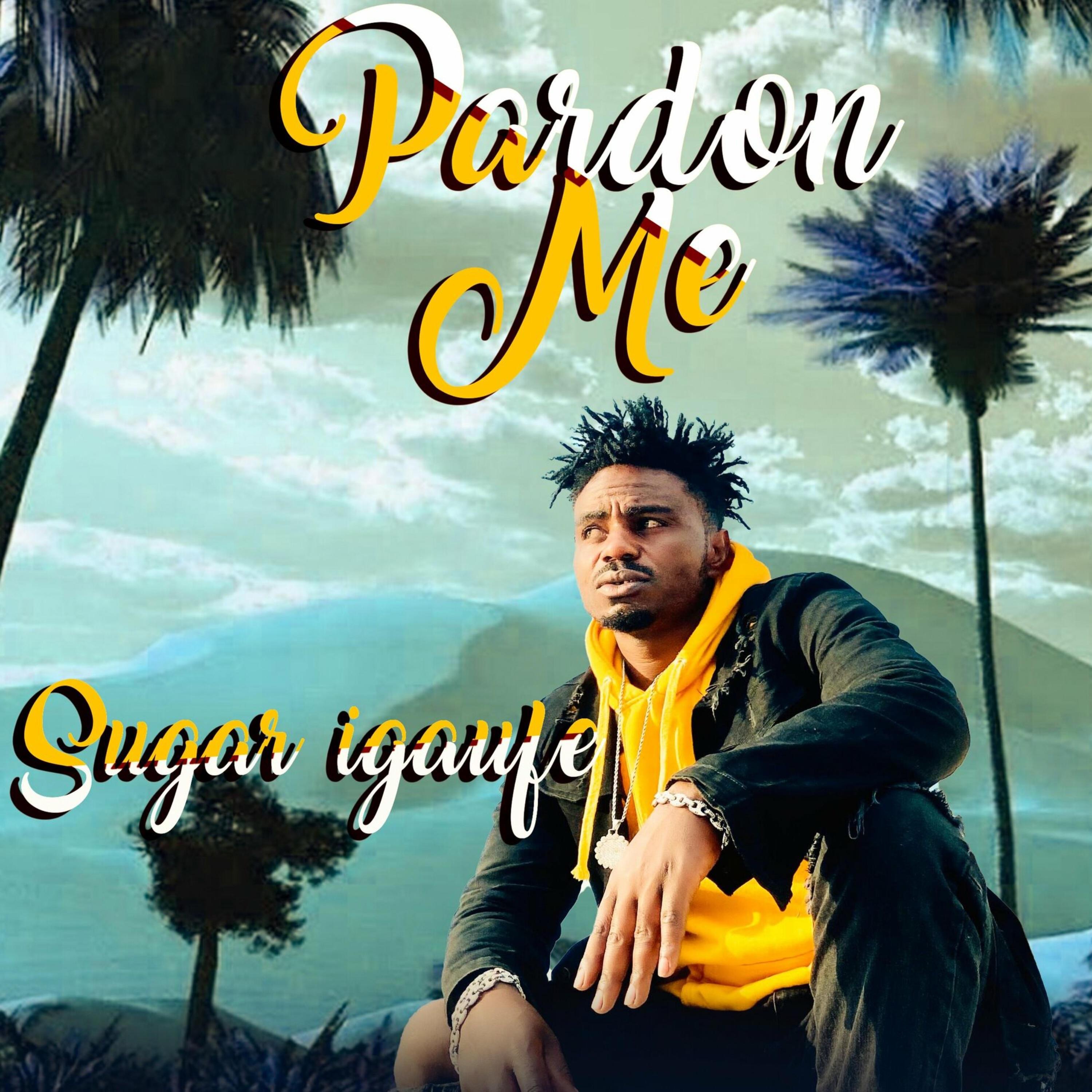 Pardon Me - Single
