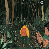 Rootless - Single - northern drift, Colours And Clouds & Chill Space