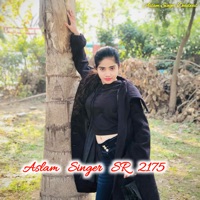 Aslam Singer Sr 2175 - EP - Aslam Singer Deadwal & Aslam Singer Zamidar