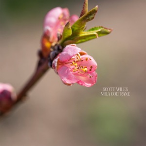 A New Spring Beginning