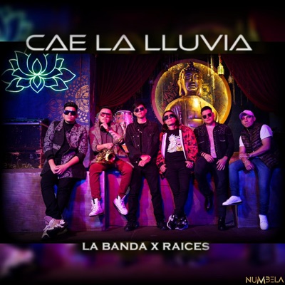 Cae la Lluvia (feat. Raíces) - Single