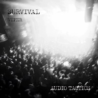 This Is the Dancehall / Viper - Single - Survival