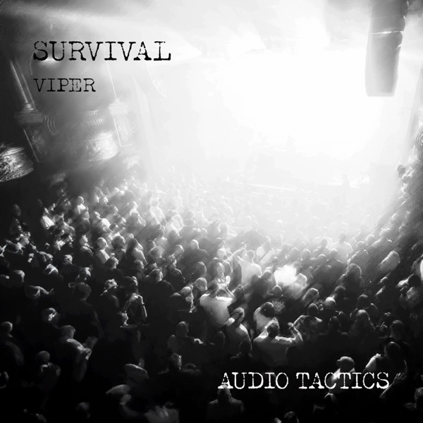 This Is the Dancehall / Viper - Single