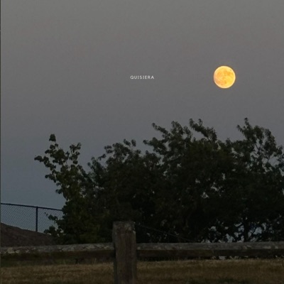 Quisiera - Single