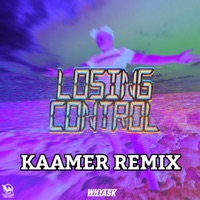 Losing Control (KAAMER Remix) - Single - WhyAsk!