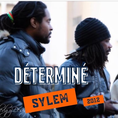 Déterminé (feat. Sylem) - Single