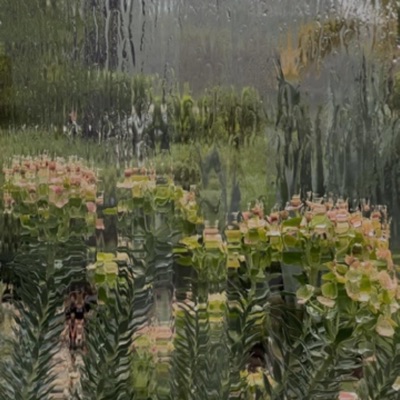 Raindrops (feat. Colis) - Single