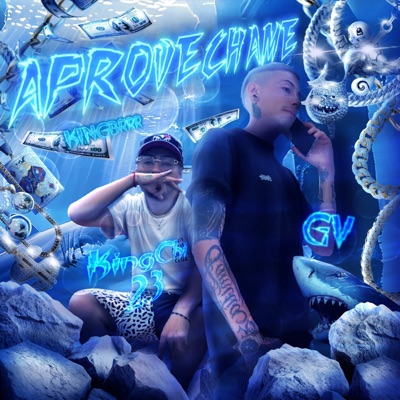 Aprovechame - Single