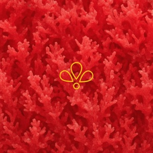 RUBY - Single