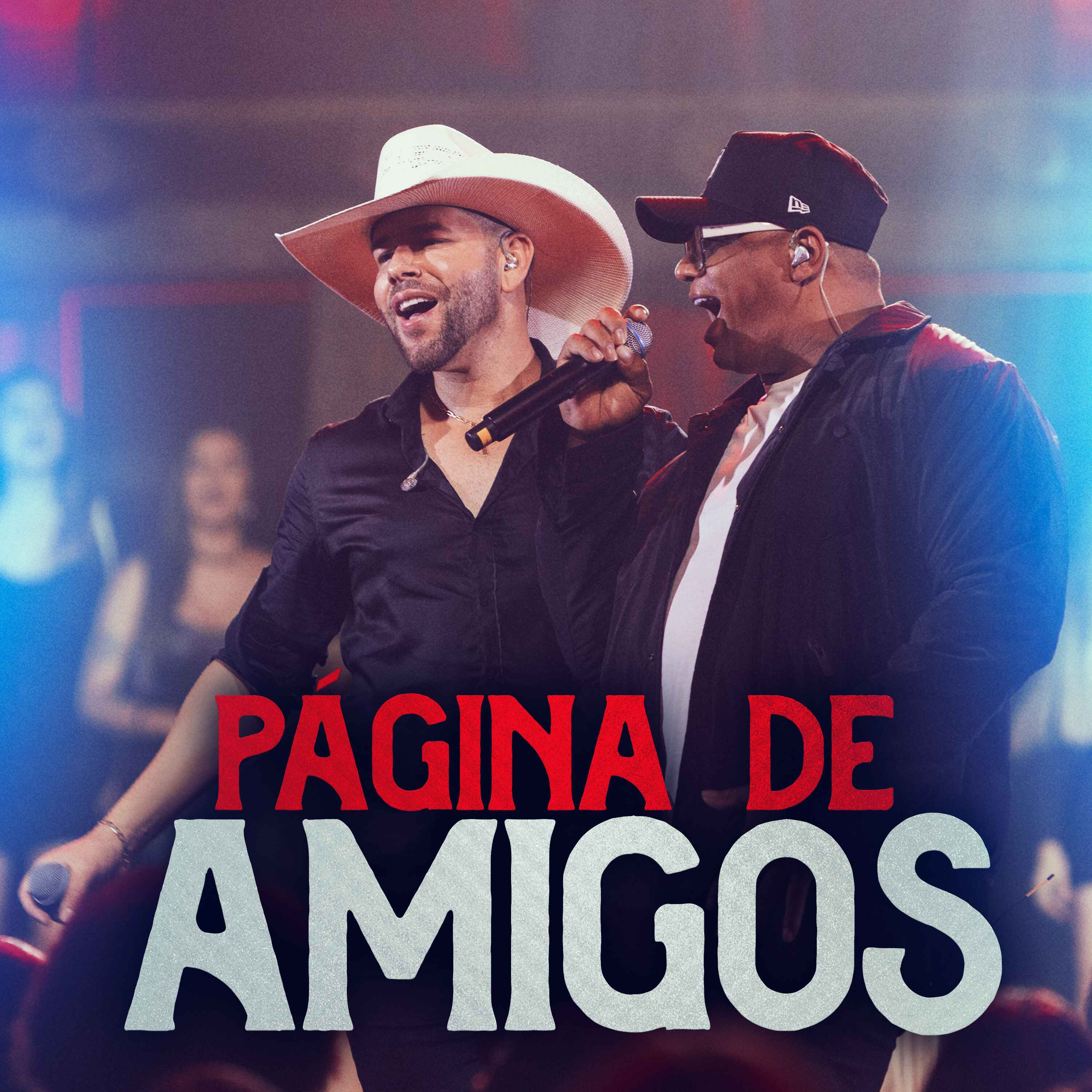 Página de Amigos - Single