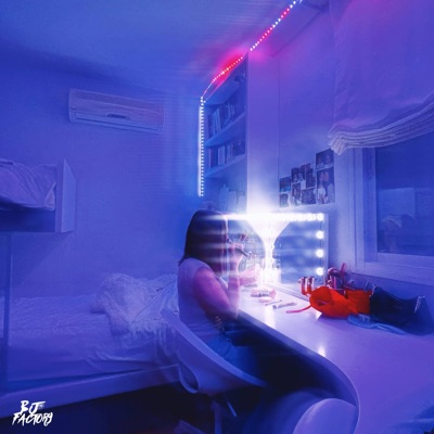 WEBCAM - Single