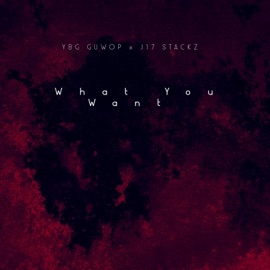 What You Want (feat. YBG GUWOP) J17 Stackz