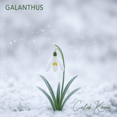 Used To Be (feat. Brian Porter) - Single