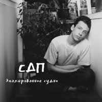 Эмалированное судно - Single - СДП