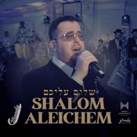 Shalom Aleichem (feat. Mendy Hershkowitz Band) - Single - Mendy J
