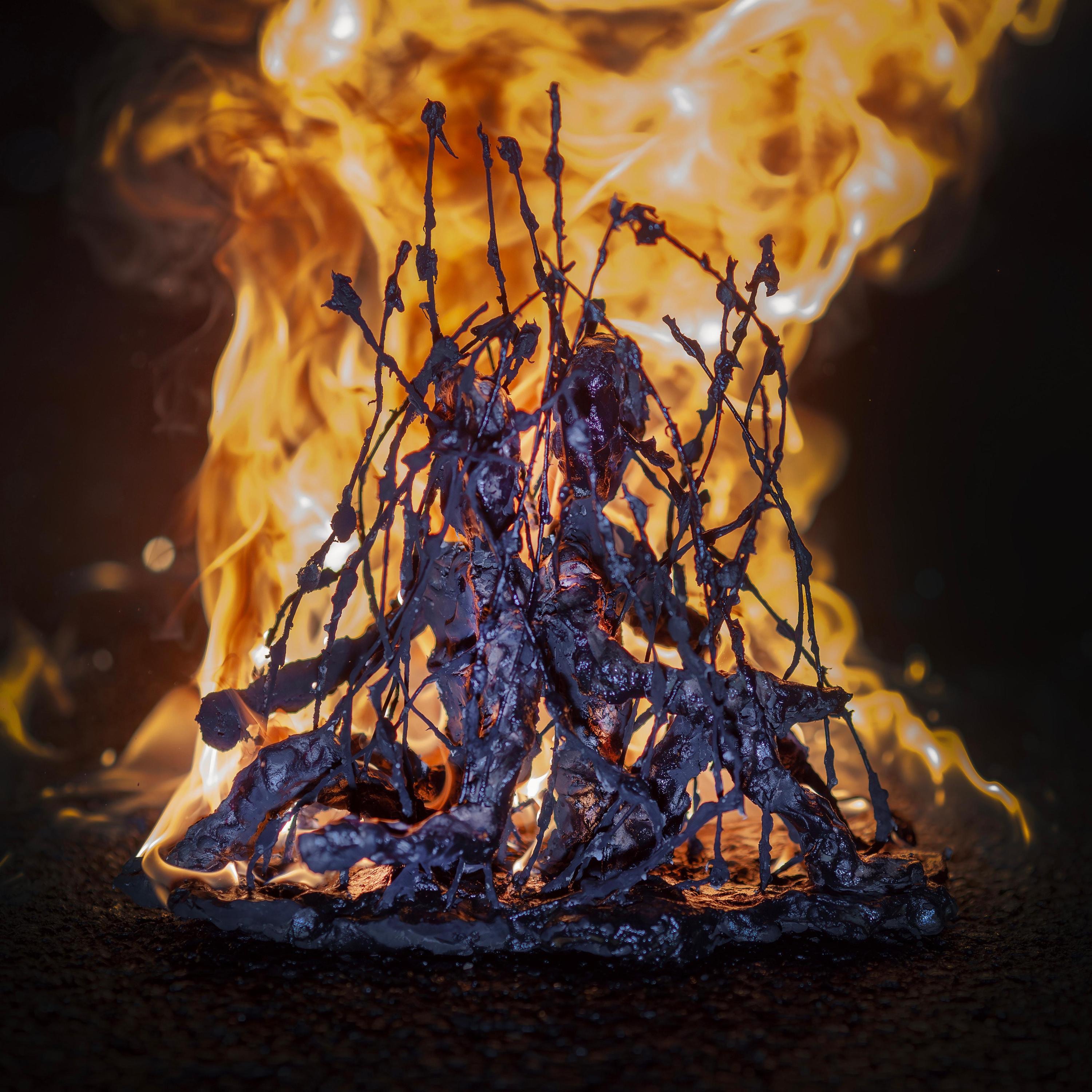 POŽIGALEC ŽIVIH MEJ