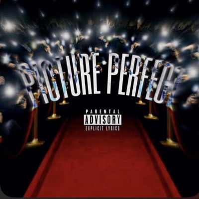 Picture Perfect (feat. Clluttchh) - Single