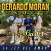 La Ley del Amor - Single