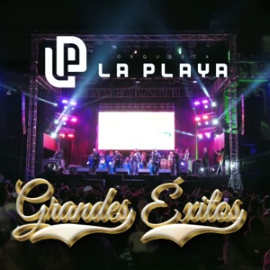Grandes Éxitos (En Vivo)
